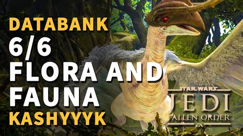 kashyyyk flora and fauna 2.